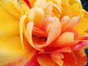 Dateiname=20200409_SAM_0091_Tulpe-im-Garten.JPG
Dateigröße=375KB
Abmessungen: 1920x1440
hinzugefügt am: 24. April 2020 20200409_SAM_0091_Tulpe-im-Garten.JPG