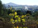 Dateiname=20181013_Geistinger-Wald_A3_Grosser-Oelberg_PICT0576_by_s-klawonn.JPG
Dateigröße=647KB
Abmessungen: 1920x1440
hinzugefügt am: 27. Dezember 2019 20181013_Geistinger-Wald_A3_Grosser-Oelberg_PICT0576_by_s-klawonn.JPG